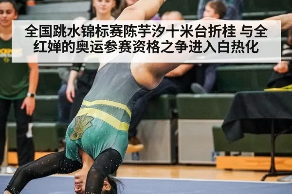 全国跳水锦标赛陈芋汐十米台折桂 与全红婵的奥运参赛资格之争进入白热化